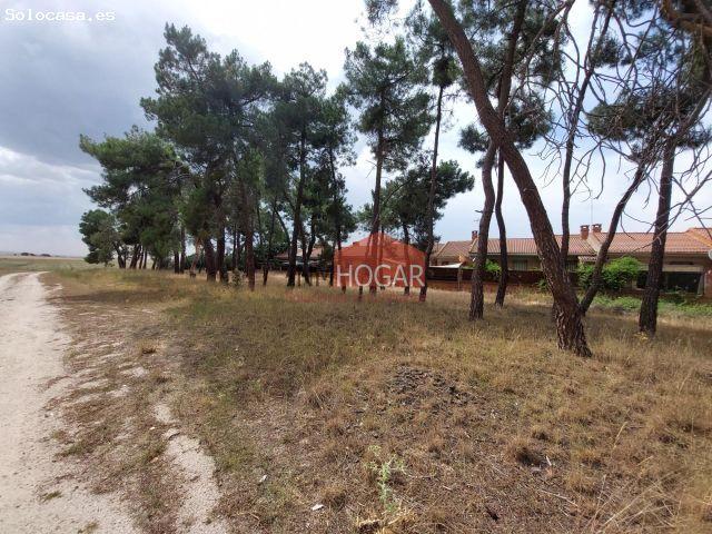 ¡Oportunidad única para vecinos de Valpinos! Terreno urbano de +5.000 m2