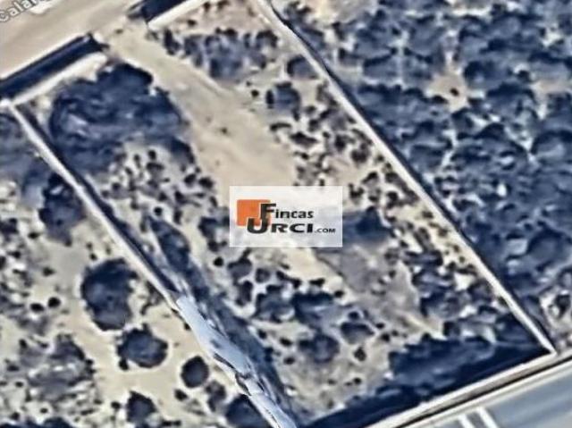 Oportunidad Única: Parcela en Calarreona, Águilas