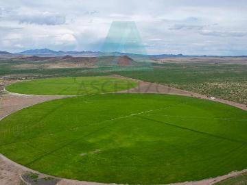 Oportunidad? Venta de Tierras Agricolas cerca de Ojo Laguna, Fergo