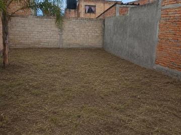 Oportunidad vendo terreno Ejidal con construcción en santa Lucia