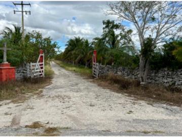 Rancho en Panaba, Yucatán