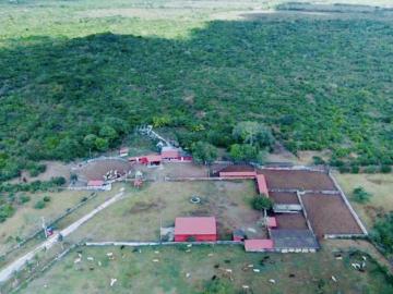 Oportunidad de adquirir Rancho Ganadero en Panabá Yucatan