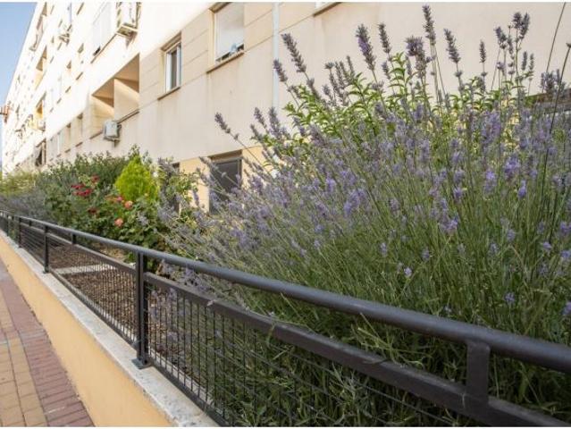 OPORTUNIDAD DE ADQUISICIÓN: VIVIENDA VPO CON INCIDENCIAS