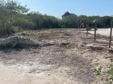OPORTUNIDAD DE INVERSI?N EN ISLA HOLBOX