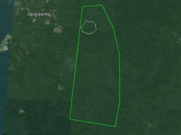 Oportunidad de inversion 700.4 hectareas en becanchen yucatan