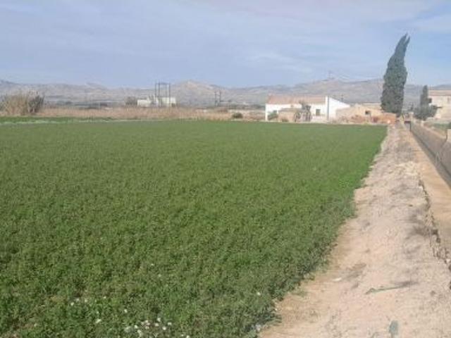 Oportunidad de Inversión en Callosa de Segura