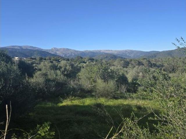 Oportunidad de Inversión en Campanet: Terreno Urbano en Es Molins