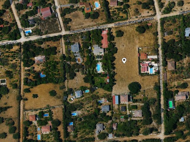 OPORTUNIDAD DE INVERSIÓN EN MONTE DEL CASAR – PARCELA DE 8.000 m² A MENOS DE 15 MINUTOS DE CÁCERES