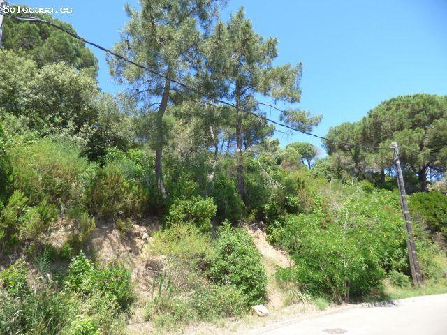 Oportunidad de Inversión en Palafolls: Parcela en Ciutat Jardí