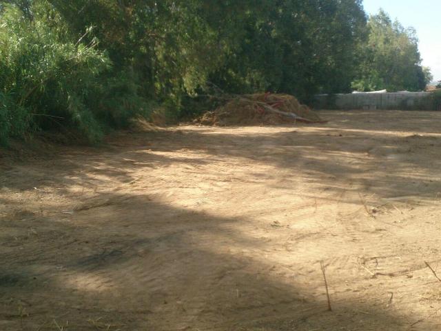 Oportunidad de Inversión en Parcelas: El Higuerón, Córdoba