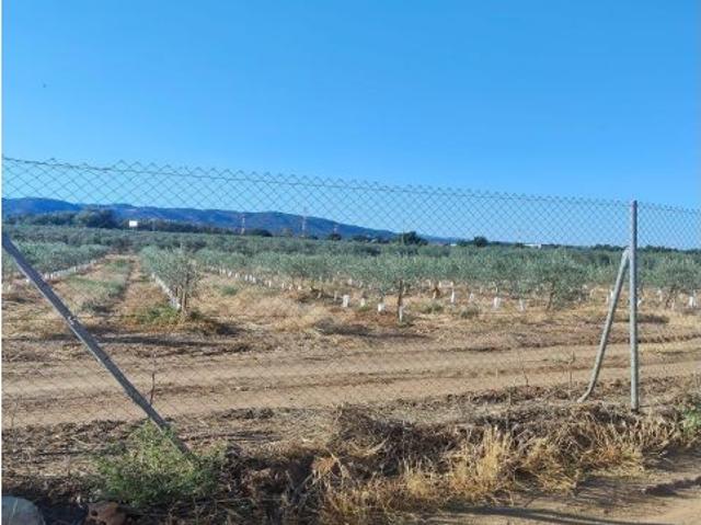 Oportunidad de Inversión Parcela en Crta. Aeropuerto por 45.000€. NO HIPOTECABLE