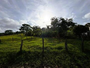 ¡Oportunidad de Inversión! | Rancho en Venta en Veracruz | 28.9 Hectáreas con Rio Propio