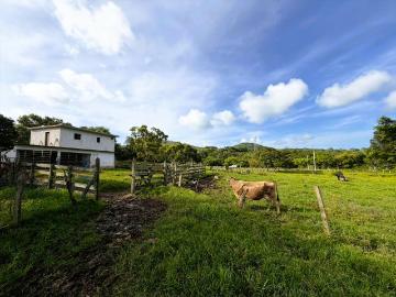 ¡Oportunidad de Inversión! | Rancho en Venta en Veracruz | 28.9 Hectáreas con Rio Propio