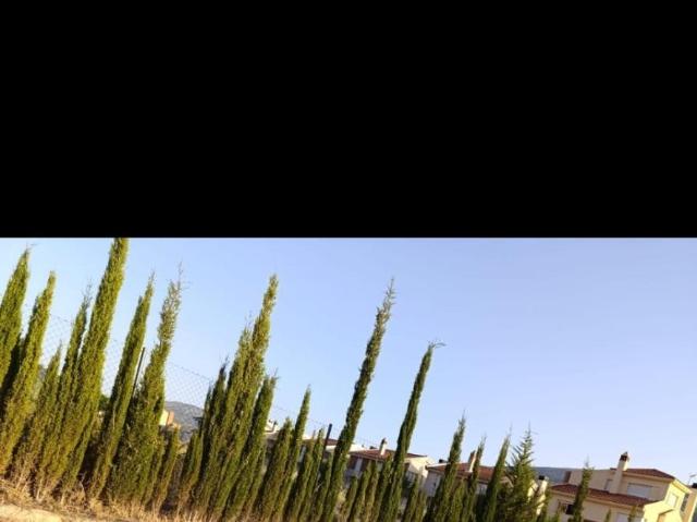 Oportunidad de Inversión: Terreno Urbanizable en Los Villares