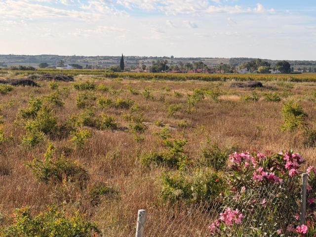 Oportunidad de Inversión, Terreno junto al núcleo urbano