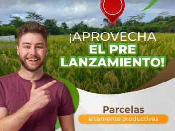 QUEDAN SOLO 3 FINCAS MULTIPROPOSITOS DESDE 10,000 M2 EN CODO DE POZUZO HUANUCO