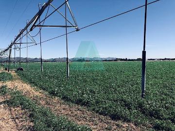 Oportunidad de Rancho Agricola por Sacramento, Fego