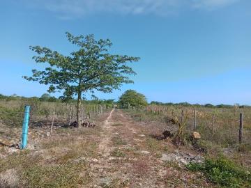 Oportunidad de rancho en dzilam gonzalez 39 has