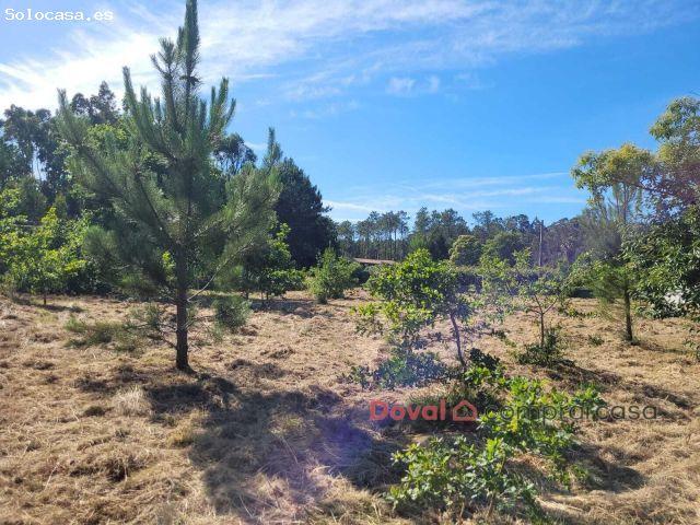 Oportunidad en Tomiño: 1.940 m2 de terreno soleado y totalmente llano