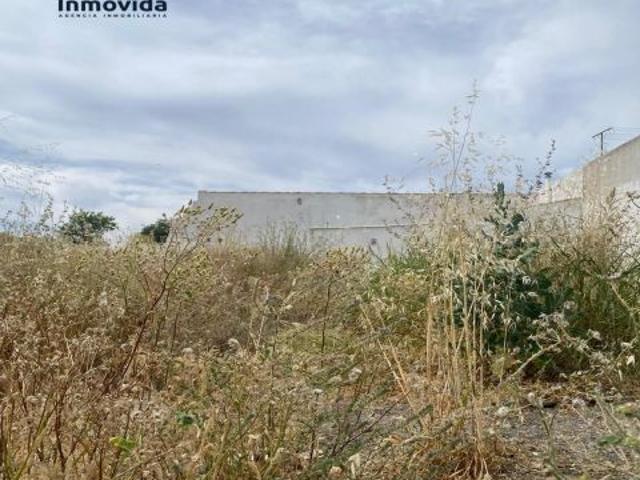 OPORTUNIDAD EN VENTA DE CASA URBANA Y VARIOS SOLARES URBANOS POR EL MISMO PRECIO