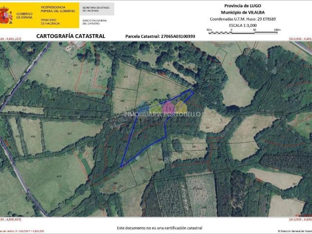 Oportunidad en Vilalba Finca rústica con aprovechamiento forestal