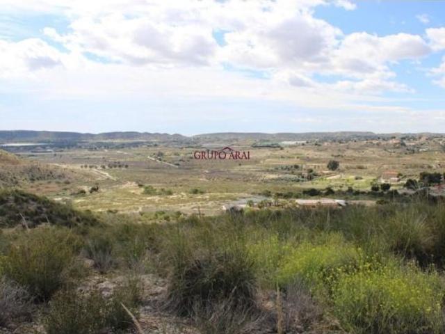 Oportunidad en El Rebolledo: finca rústica de más de 31.000 m2