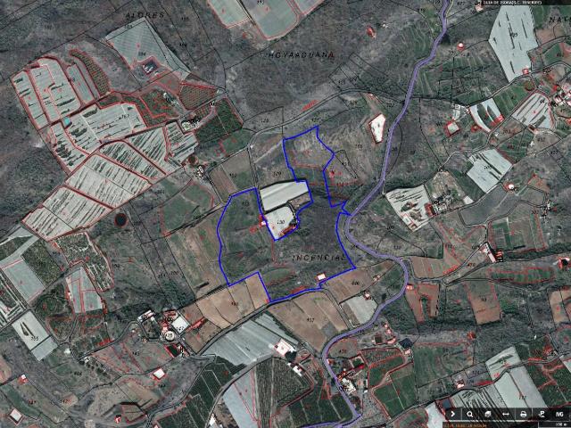 Finca Rústica en Venta de 55.000 m2 con casa de 100 m2 para reforma – Guía de Isora