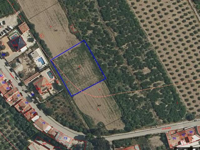 ¡Oportunidad en Los Ramos!