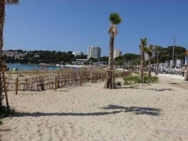 Oportunidad en Magaluf
