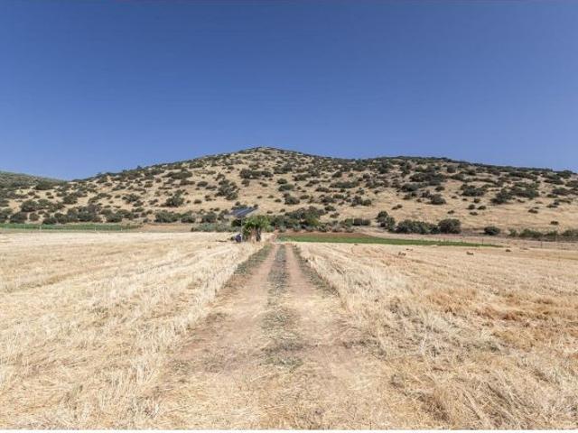 Oportunidad en Montefrío. Finca rústica 60.000 m2 con mucho potencial