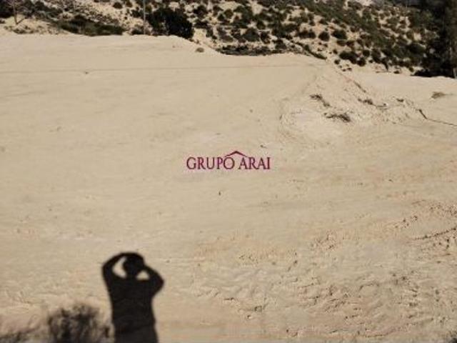 ? OPORTUNIDAD EN PLENA NATURALEZA: TERRENO RÚSTICO DE 6.000 M² EN LA ALCORAYA ?