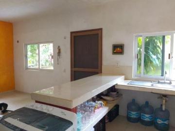 Oportunidad Estratégica de Inversión Agroindustrial y Agrícola en Quintana Roo