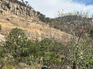 ¡Oportunidad Estratégica en Zapopan!. Terreno en Venta Potrero Los Charcos