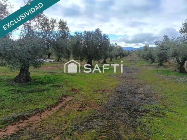 ! OPORTUNIDAD EXCELENTE FINCA GANADERA EN LOS NAVALMORALES ¡