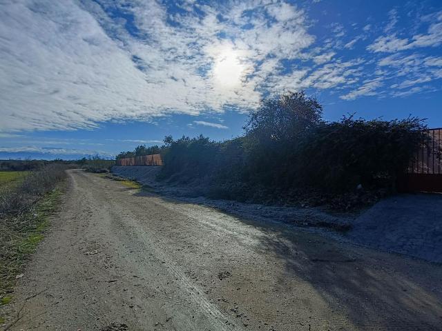 Oportunidad: Finca de Olivos de 9.266 m2 con Nave Legalizada y Suministros