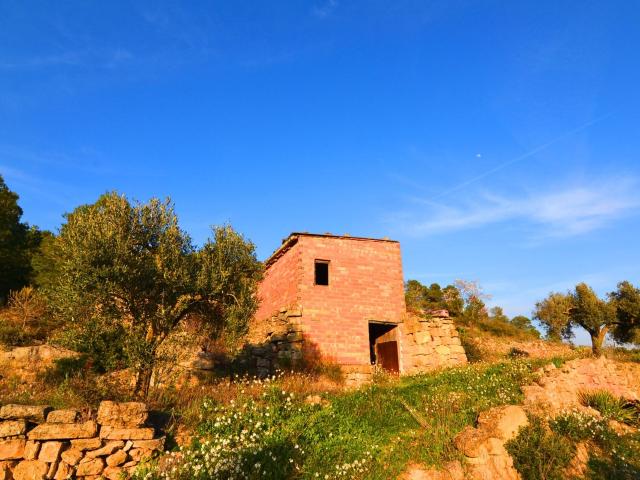 OPORTUNIDAD FINCA DE REGADIO CON MASIA DE DOS PLANTAS EN CORBERA D´EBRE Terra Alta