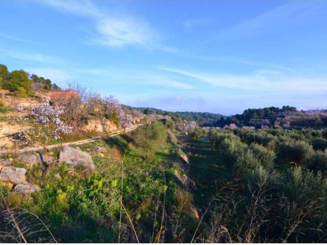 OPORTUNIDAD FINCA DE REGADIO CON MASIA DE DOS PLANTAS EN CORBERA D´EBRE Terra Alta