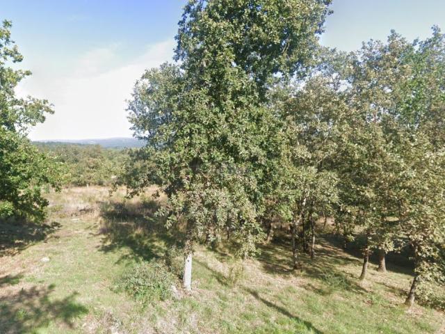 OPORTUNIDAD! FINCA EDIFICABLE EN PEREIRO