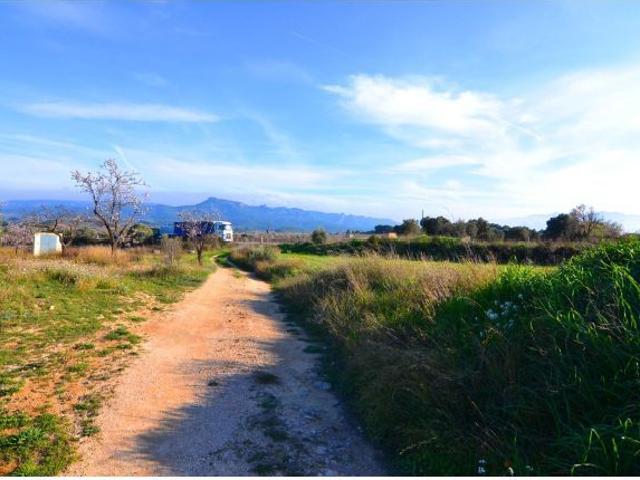 OPORTUNIDAD FINCA RUSTICA DE REGADIO EN PRODUCCION EN GANDES TERRA ALTA