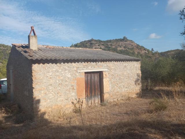 OPORTUNIDAD FINCA RUSTICA DE 10, 7 HAS.CON MASIA DE PIEDRA EN LA TORRE DE L´ESPANYOL