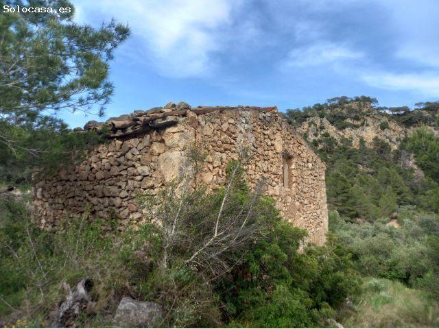 OPORTUNIDAD FINCA RUSTICA DE 2,7 HAS. PLANTADA DE OLIVOS Y ALMENDROS CON MASIA DE DOS PLANTAS EN EL