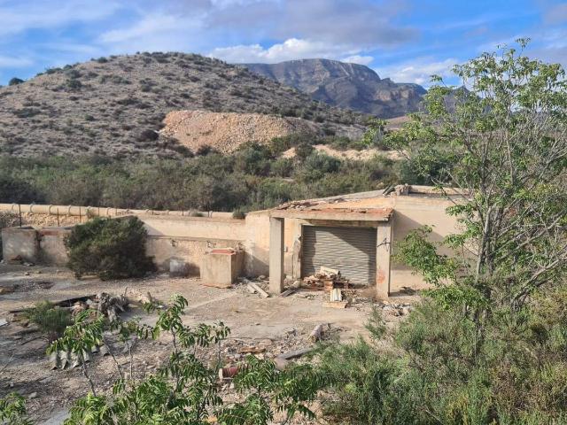 Oportunidad: Finca rústica de 7.500 m2 con construcciones legalizadas y riego por goteo