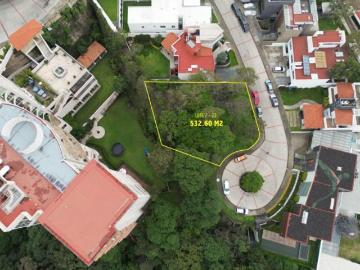 OPORTUNIDAD: Hermoso terreno en Bosque Real