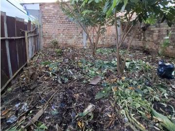 Oportunidad Iquitos Venta Terreno Yurimaguas y Moore