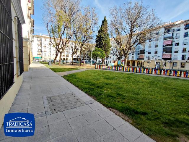 ️✨ ¡Oportunidad local en el centro de Jerez! ✨️