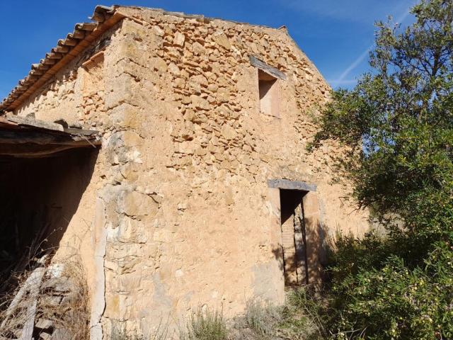 OPORTUNIDAD LOTE DE FINCAS RUSTICAS DE 24 HAS.CON DIVERSAS CONSTRUCCIONES Y POZO PROPIO EN LA PALMA D´EBRE D.O. MONTSANT