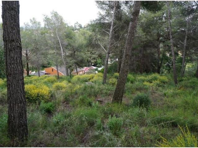 OPORTUNIDAD! Lote de Terrenos Urbanizables en Riudecanyes con vistas al mar