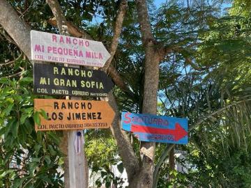 OPORTUNIDAD LOTE ESCRITURADO EN ZONA XPU HA, A 15 MINUTOS DE TULUM 4 HECTAREAS