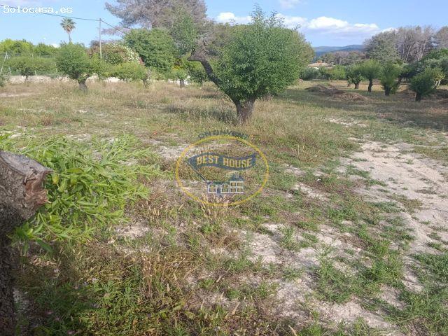 OPORTUNIDAD PARCELA URBANIZABLE CON LUZ Y AGUA EN ONTINYENT