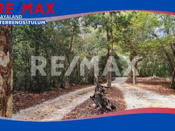 Oportunidad propiedad de 10,680 m2 con casa de 1 planta a 15 km de tulum